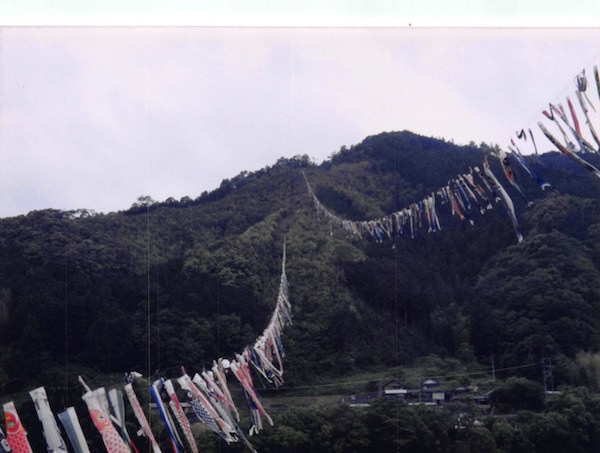 四万十川に掛かる鯉のぼり