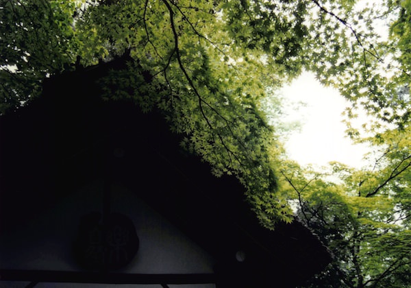 兼六園の休憩所