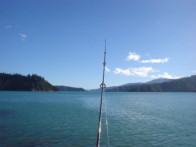 ピクトンで海釣り