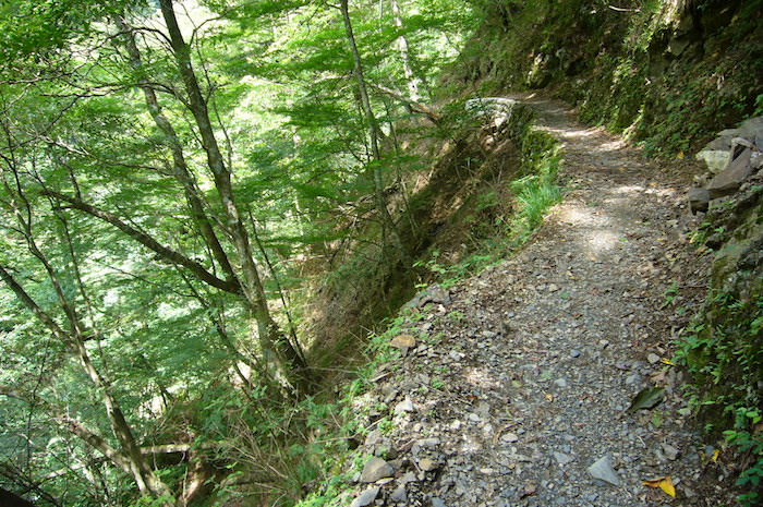 雲取山登山道