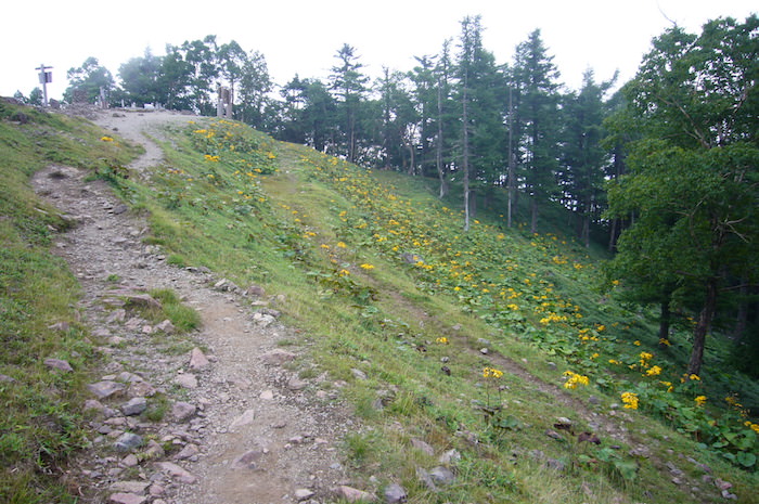 雲取山山頂が見えた