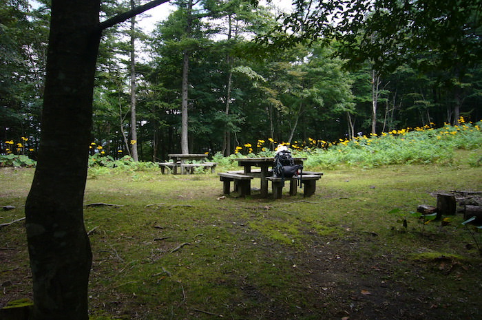 鷹ノ巣山非難小屋の広場