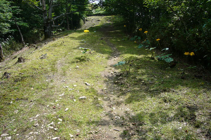 鷹ノ巣山への登り道