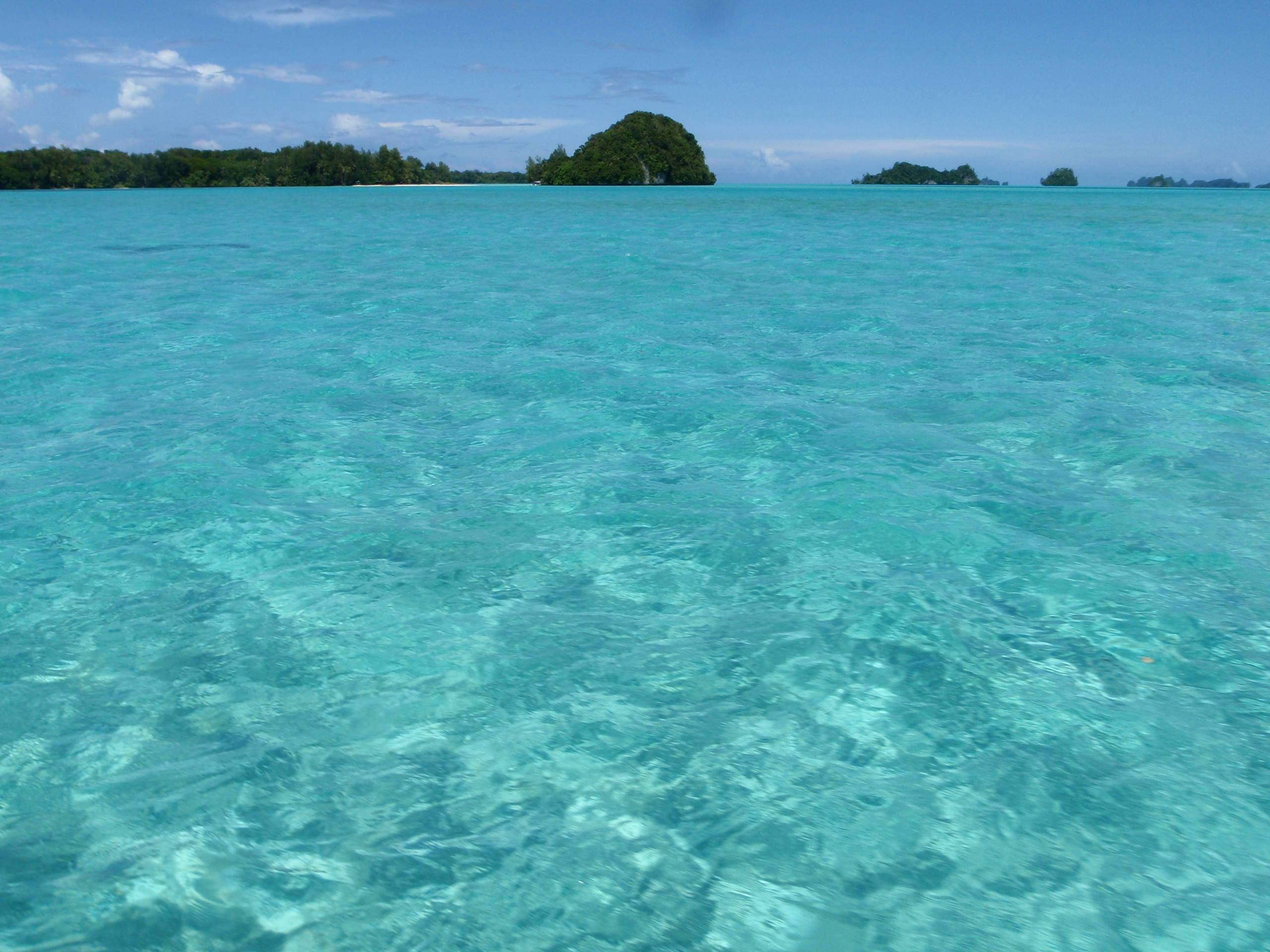 パラオの海