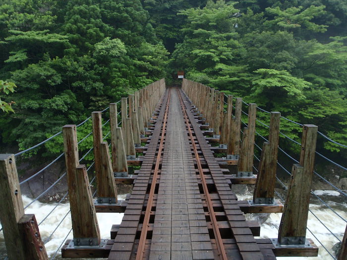 トロッコ道 - 縄文杉トレッキング