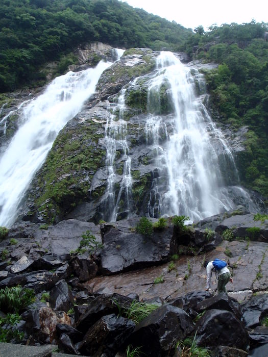 大川の滝 - 屋久島