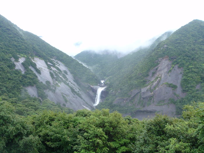 屋久島の滝