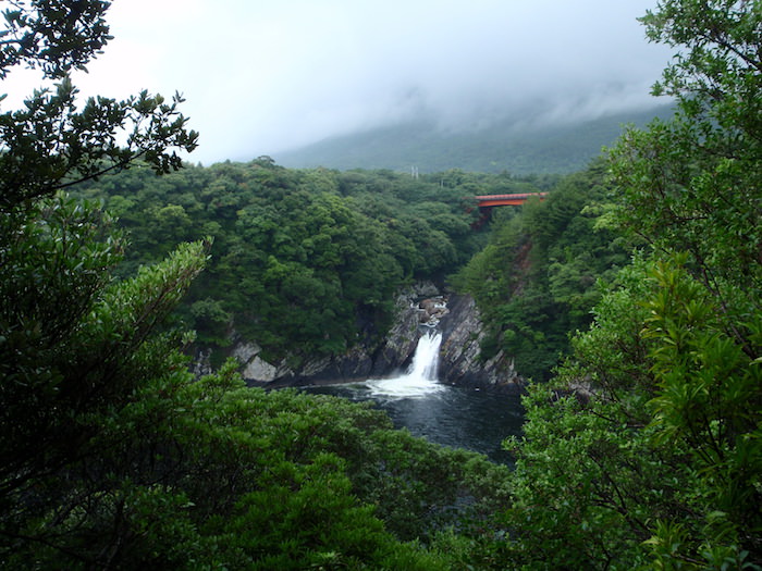 屋久島の滝