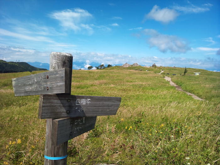 牛伏山の山頂方面