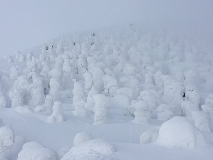 山形蔵王温泉スキー場 山頂ハイク