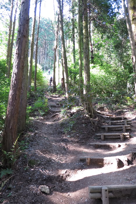 登山道に入ると急登