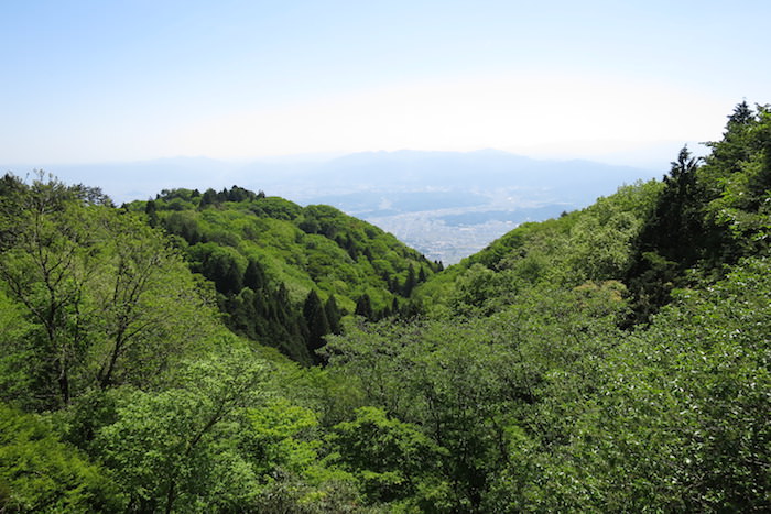大和葛城山登山の途中