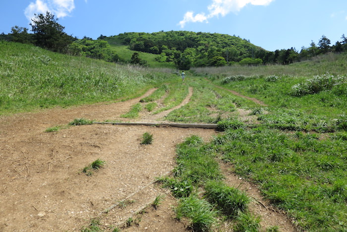 伊吹山の登山道