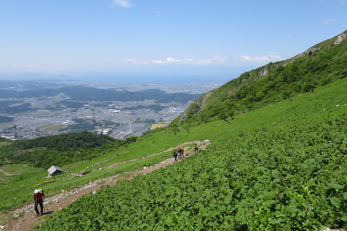 伊吹山から見る琵琶湖