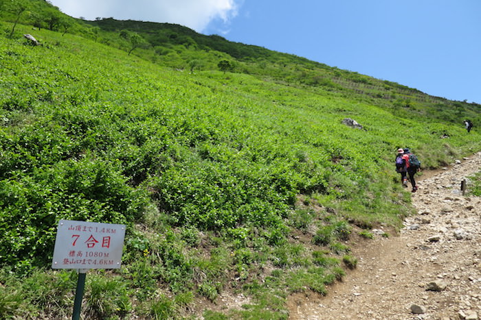 伊吹山7合目