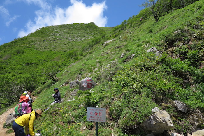伊吹山8合目