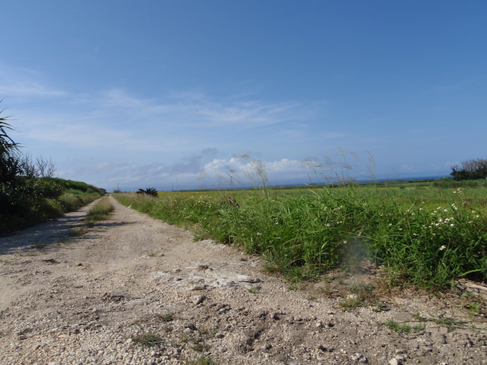波照間島の道路