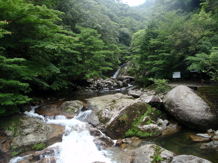 入り口の渓谷 - 白谷雲水峡トレッキング