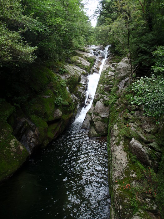 白妙の滝- 白谷雲水峡トレッキング