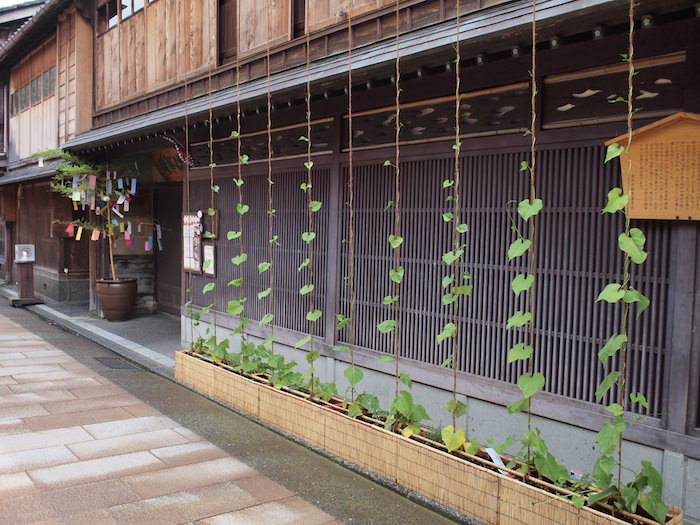 ひがし茶屋街