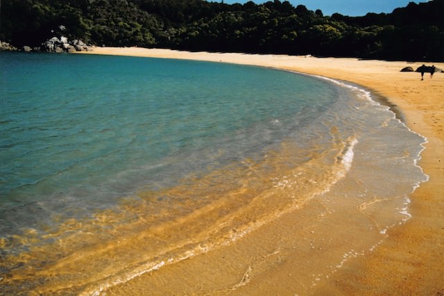 エイベル タスマン コースト トラック Abel Tasman Coast Track Nz個人トレッキング記録 やまむブログ