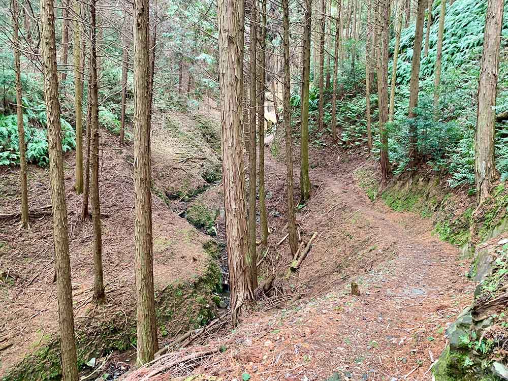甘南備山 雨乞いの小径