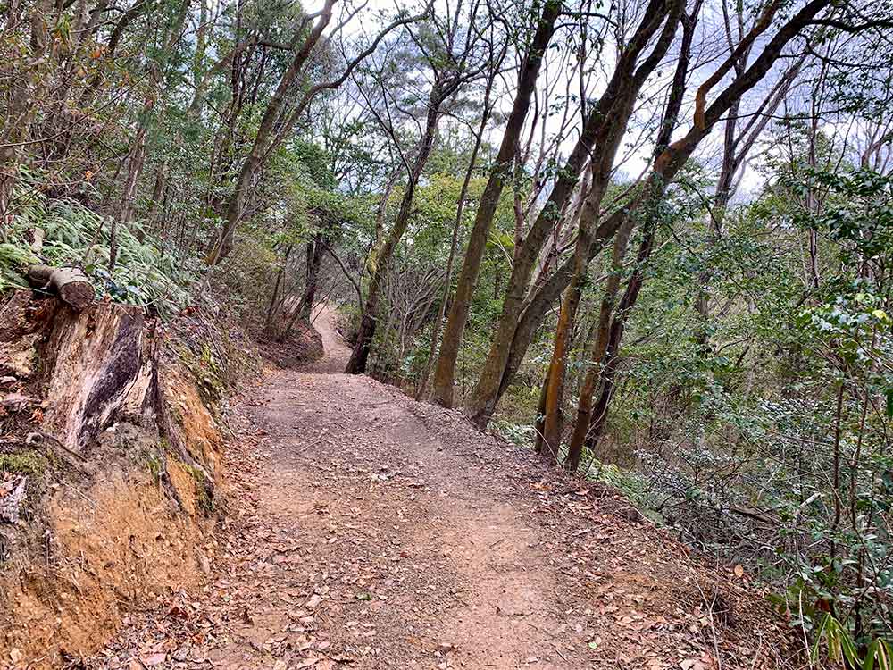 甘南備山 「木もれ日の小径」から「日だまりの小径」へと外周路を歩く