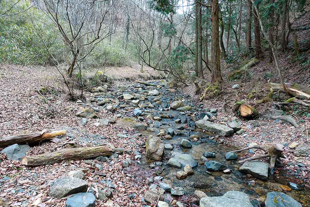 山城町森林公園の川