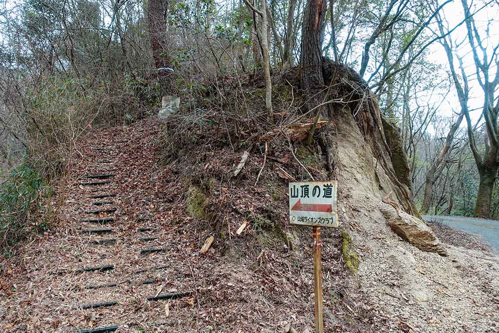 三上山 山頂の道コース