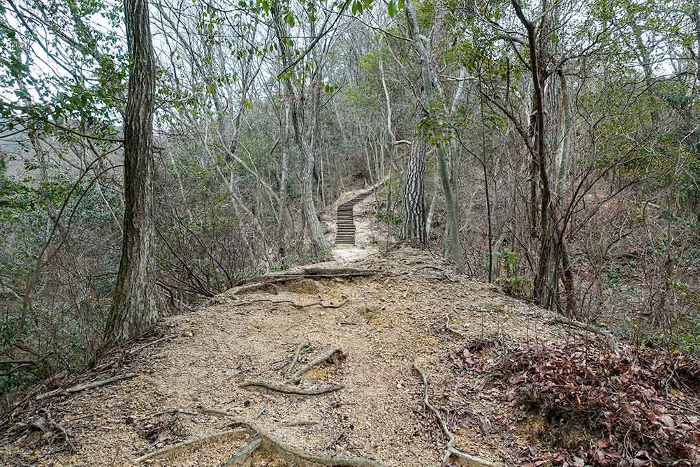三上山 山頂の道コース