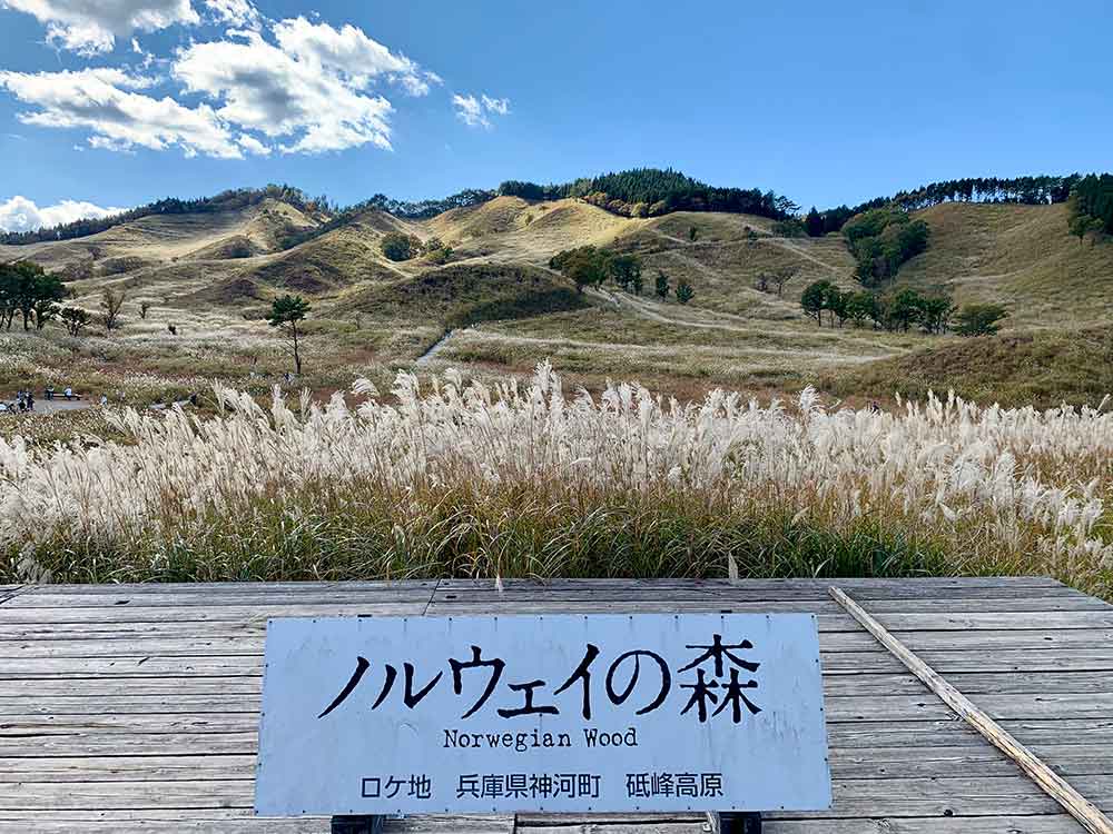 ノルウェイの森のロケ地「砥峰高原」