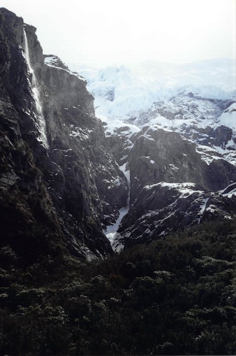 ロブ・ロイ氷河トラック - NZトレッキング