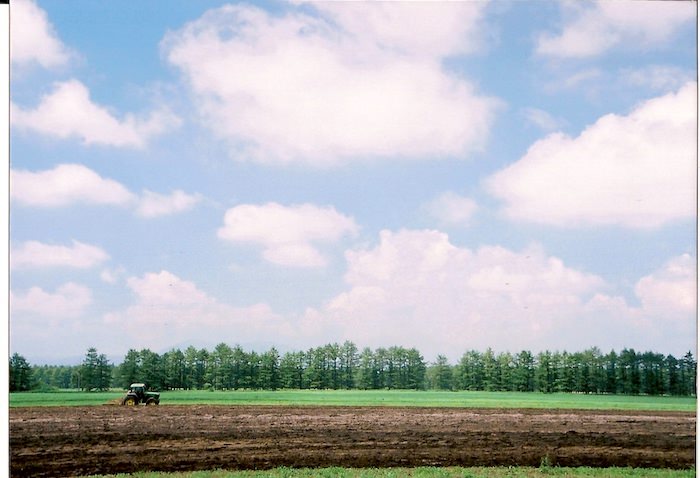 北海道の畑
