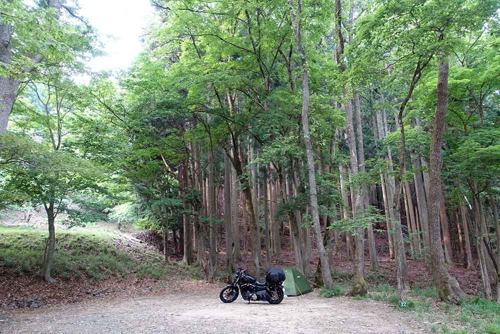 奥琵琶湖キャンプ場のオートサイトは区画が広い